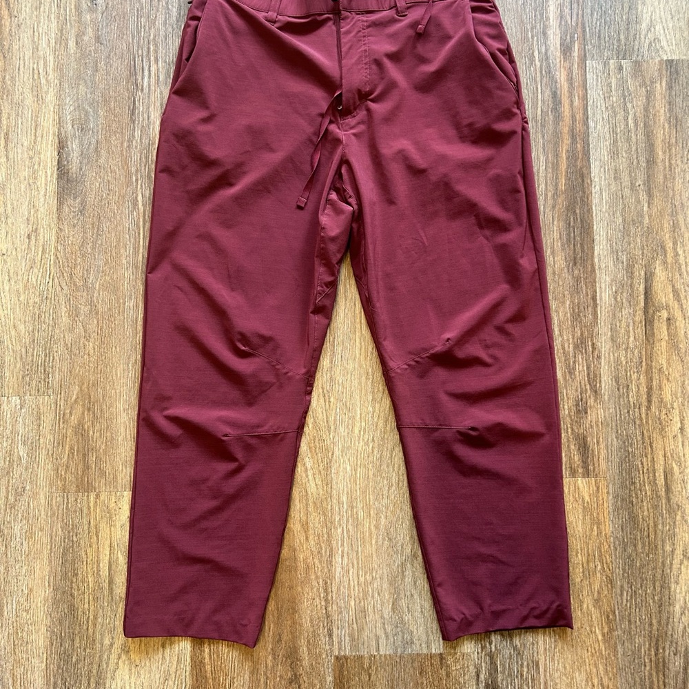 Fabletics Men's Burgundy Pants